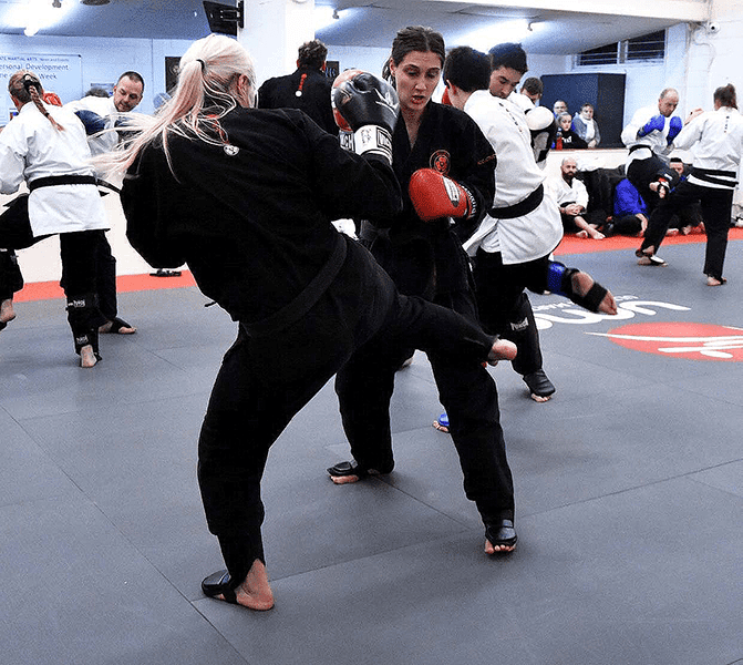 Karate Vs Taekwondo Classes